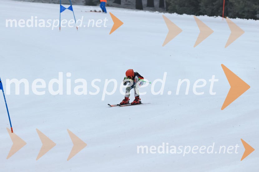 SMUČANJE - SUPER G, U10 in U12, Pokal vzhodne regije, Rogla