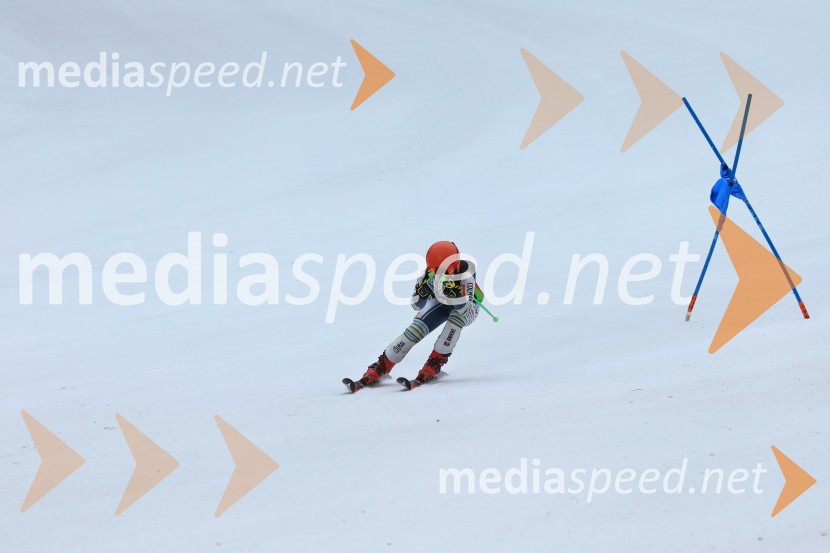 SMUČANJE - SUPER G, U10 in U12, Pokal vzhodne regije, Rogla