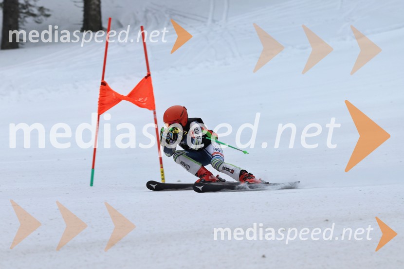 SMUČANJE - SUPER G, U10 in U12, Pokal vzhodne regije, Rogla