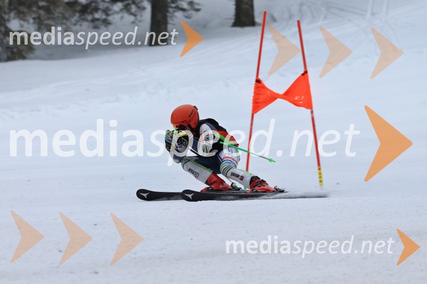 SMUČANJE - SUPER G, U10 in U12, Pokal vzhodne regije, Rogla
