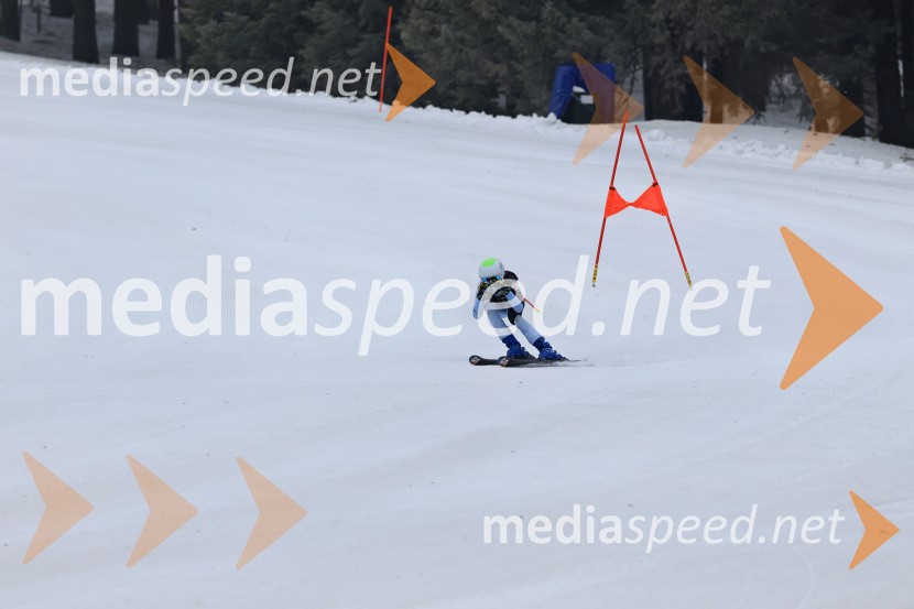 SMUČANJE - SUPER G, U10 in U12, Pokal vzhodne regije, Rogla