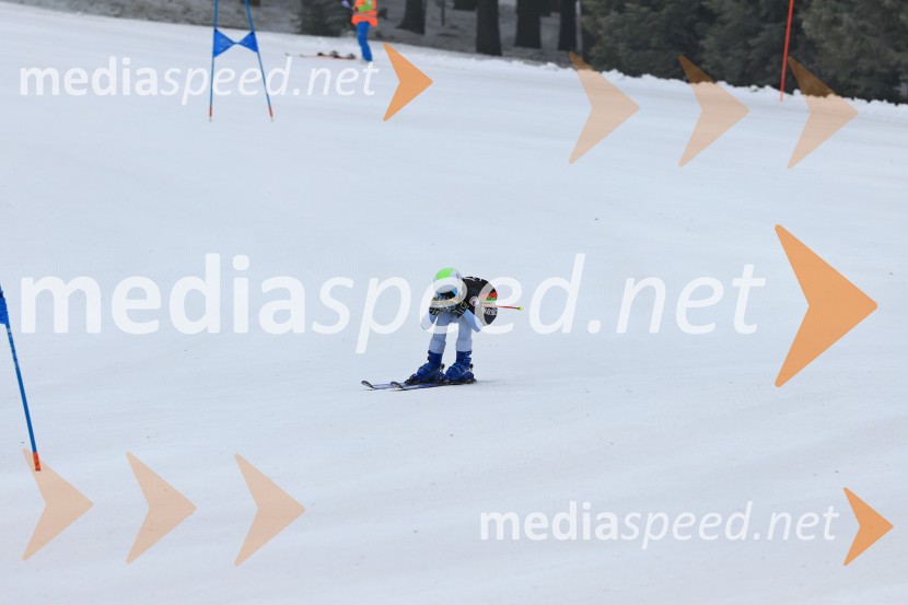 SMUČANJE - SUPER G, U10 in U12, Pokal vzhodne regije, Rogla