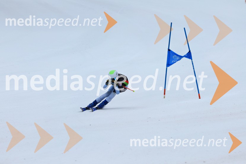 SMUČANJE - SUPER G, U10 in U12, Pokal vzhodne regije, Rogla