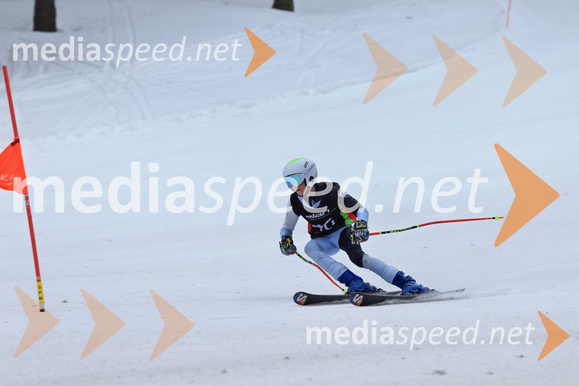 SMUČANJE - SUPER G, U10 in U12, Pokal vzhodne regije, Rogla