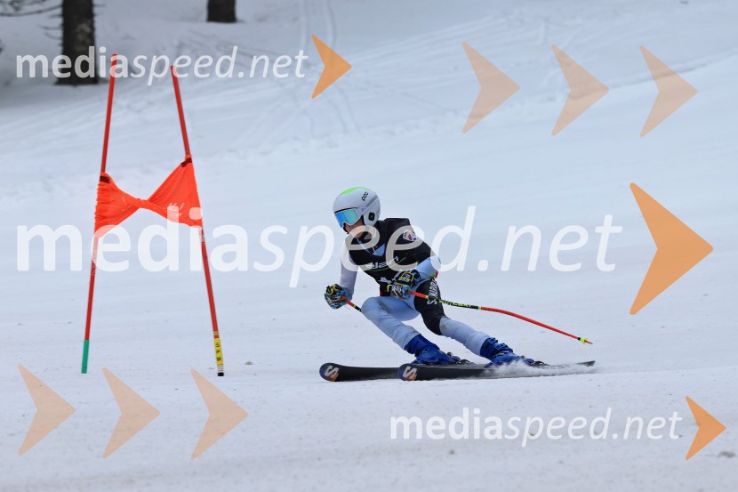 SMUČANJE - SUPER G, U10 in U12, Pokal vzhodne regije, Rogla