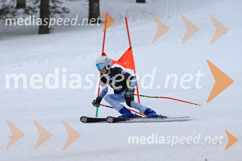 SMUČANJE - SUPER G, U10 in U12, Pokal vzhodne regije, Rogla