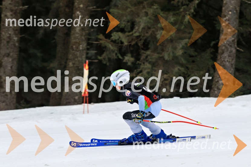 SMUČANJE - SUPER G, U10 in U12, Pokal vzhodne regije, Rogla