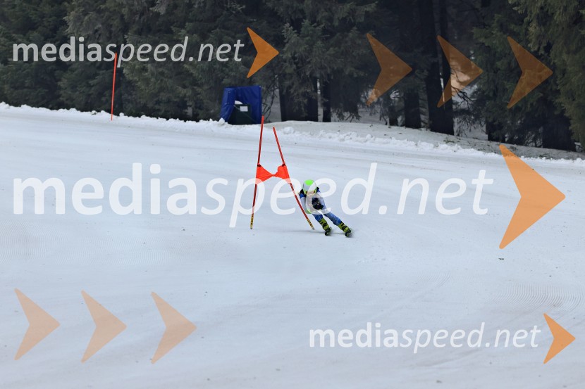SMUČANJE - SUPER G, U10 in U12, Pokal vzhodne regije, Rogla
