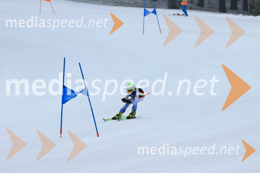SMUČANJE - SUPER G, U10 in U12, Pokal vzhodne regije, Rogla