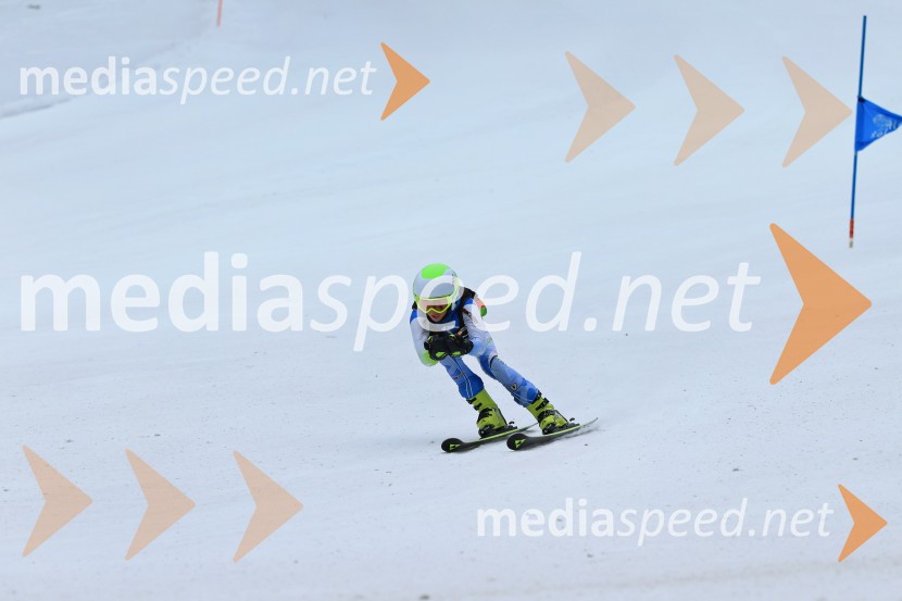 SMUČANJE - SUPER G, U10 in U12, Pokal vzhodne regije, Rogla