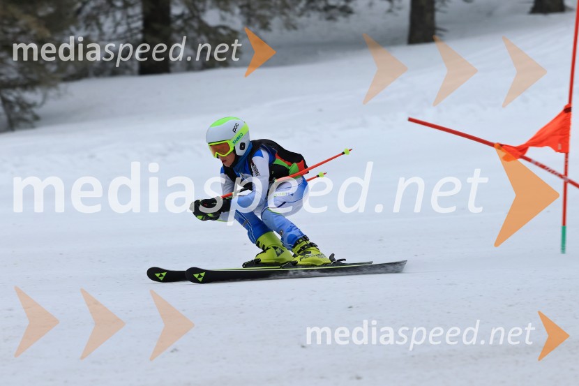 SMUČANJE - SUPER G, U10 in U12, Pokal vzhodne regije, Rogla