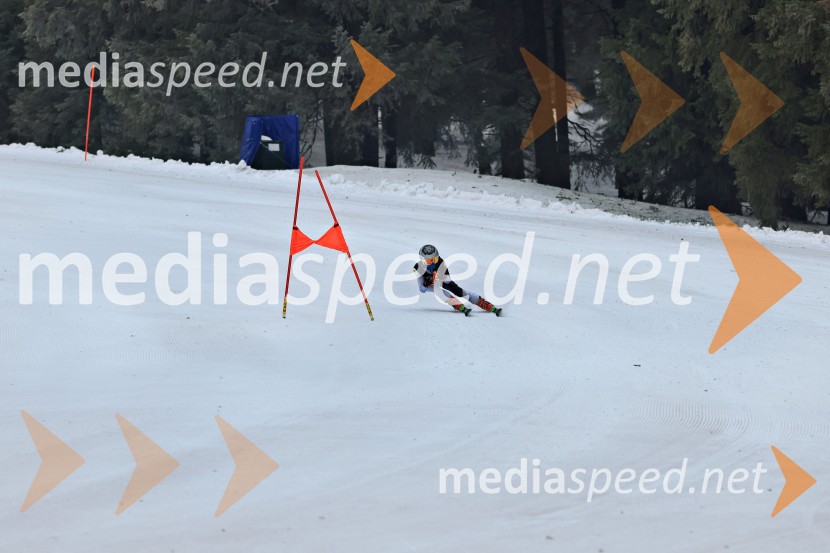 SMUČANJE - SUPER G, U10 in U12, Pokal vzhodne regije, Rogla