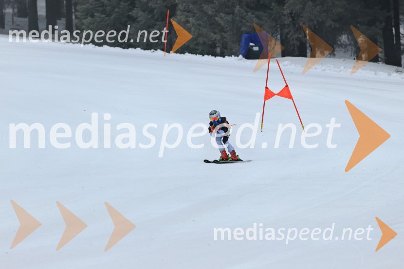 SMUČANJE - SUPER G, U10 in U12, Pokal vzhodne regije, Rogla
