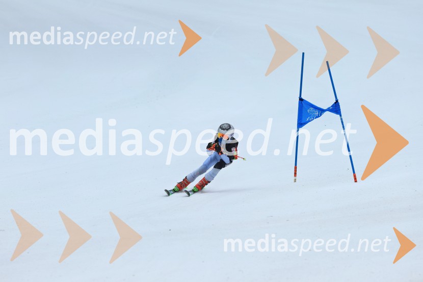 SMUČANJE - SUPER G, U10 in U12, Pokal vzhodne regije, Rogla