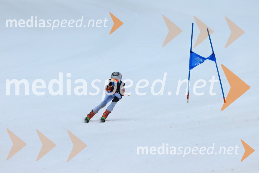 SMUČANJE - SUPER G, U10 in U12, Pokal vzhodne regije, Rogla