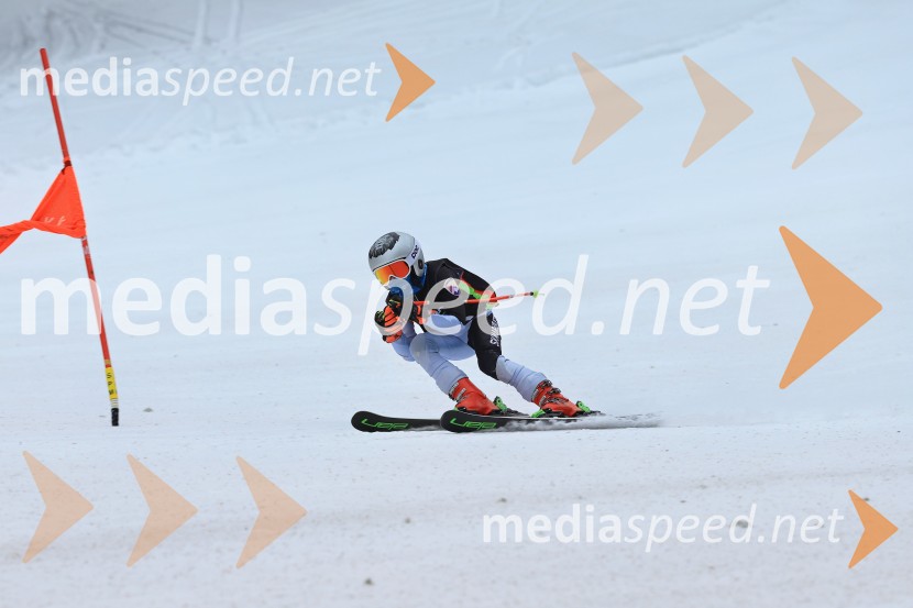 SMUČANJE - SUPER G, U10 in U12, Pokal vzhodne regije, Rogla