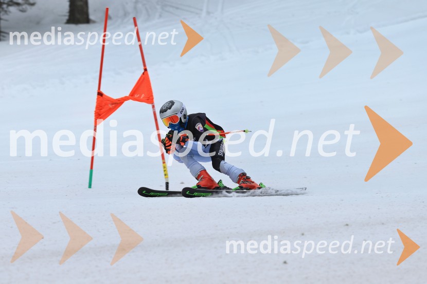 SMUČANJE - SUPER G, U10 in U12, Pokal vzhodne regije, Rogla