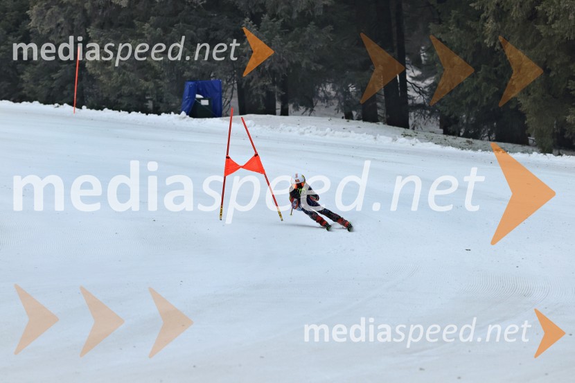SMUČANJE - SUPER G, U10 in U12, Pokal vzhodne regije, Rogla