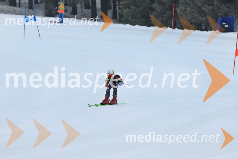 SMUČANJE - SUPER G, U10 in U12, Pokal vzhodne regije, Rogla