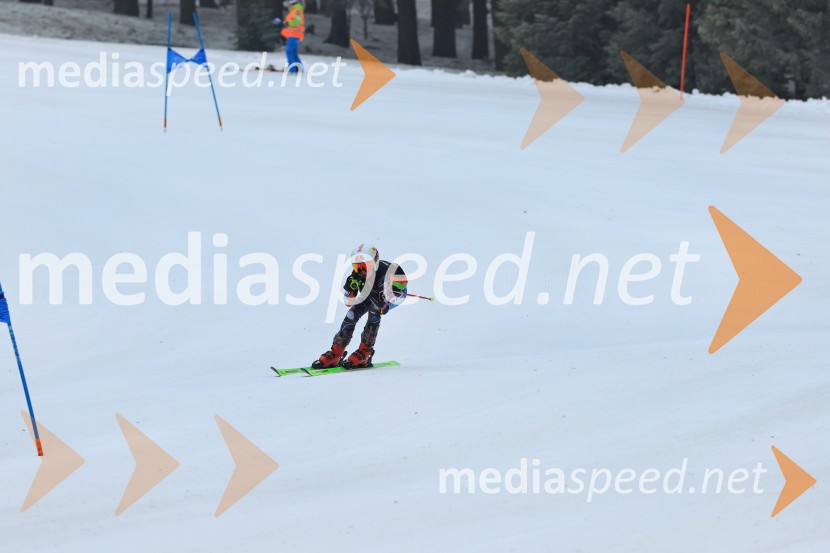 SMUČANJE - SUPER G, U10 in U12, Pokal vzhodne regije, Rogla