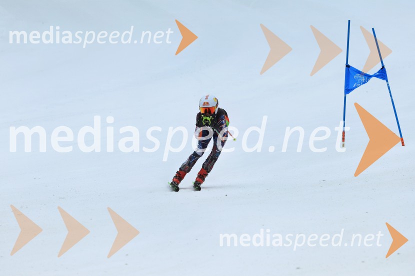 SMUČANJE - SUPER G, U10 in U12, Pokal vzhodne regije, Rogla