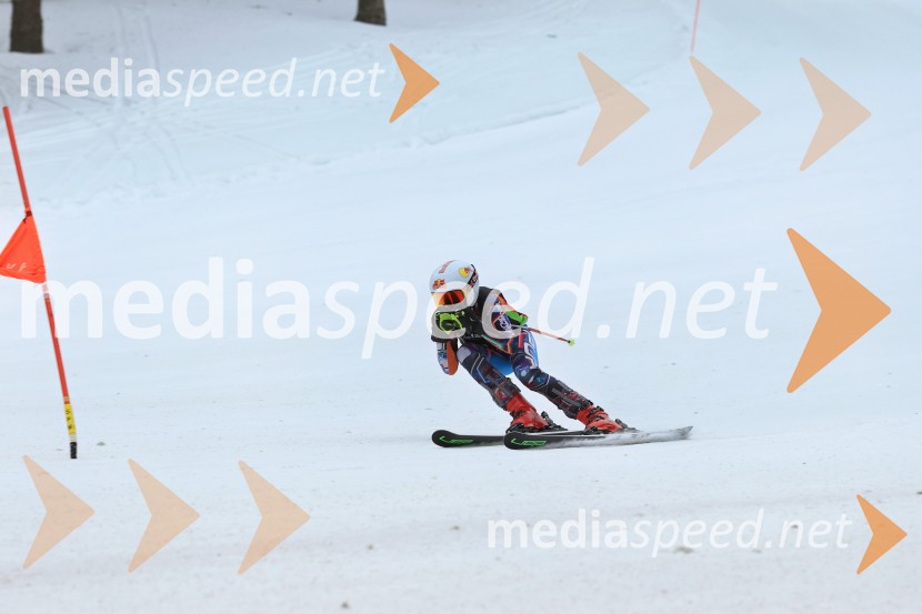 SMUČANJE - SUPER G, U10 in U12, Pokal vzhodne regije, Rogla