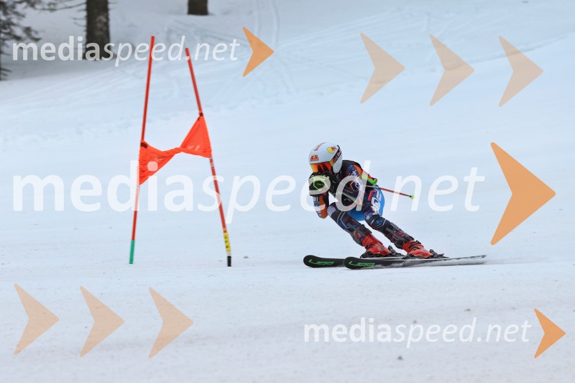SMUČANJE - SUPER G, U10 in U12, Pokal vzhodne regije, Rogla