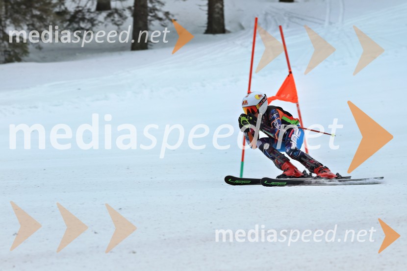 SMUČANJE - SUPER G, U10 in U12, Pokal vzhodne regije, Rogla