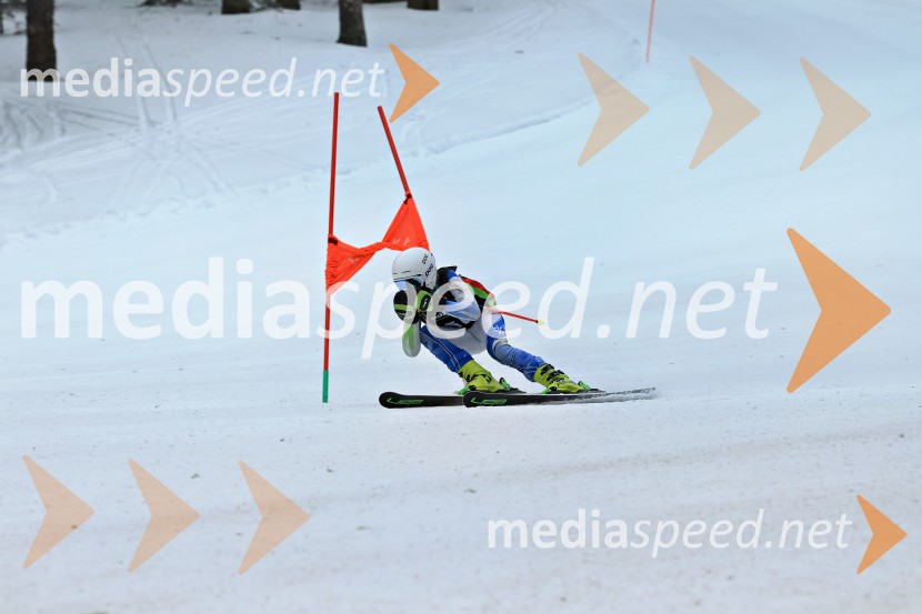 SMUČANJE - SUPER G, U10 in U12, Pokal vzhodne regije, Rogla