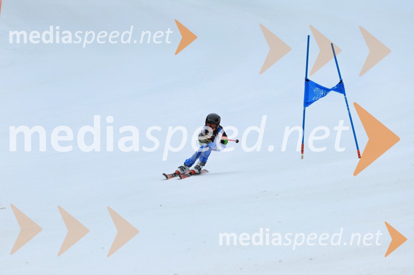 SMUČANJE - SUPER G, U10 in U12, Pokal vzhodne regije, Rogla