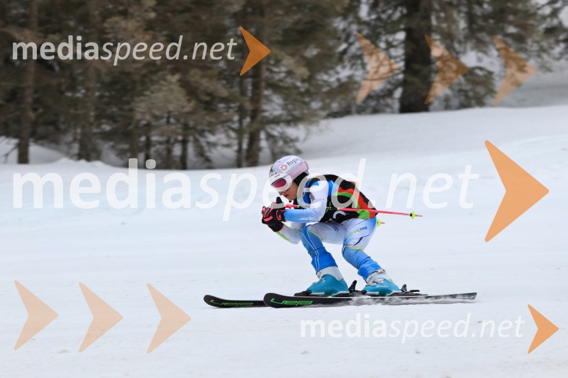 SMUČANJE - SUPER G, U10 in U12, Pokal vzhodne regije, Rogla