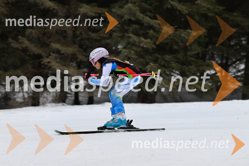 SMUČANJE - SUPER G, U10 in U12, Pokal vzhodne regije, Rogla