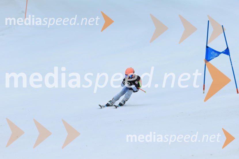 SMUČANJE - SUPER G, U10 in U12, Pokal vzhodne regije, Rogla