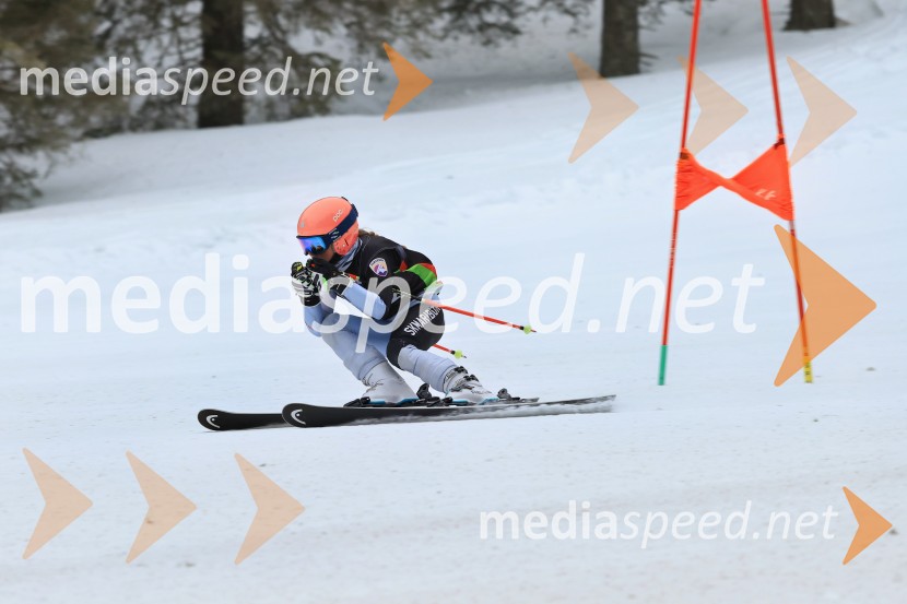 SMUČANJE - SUPER G, U10 in U12, Pokal vzhodne regije, Rogla