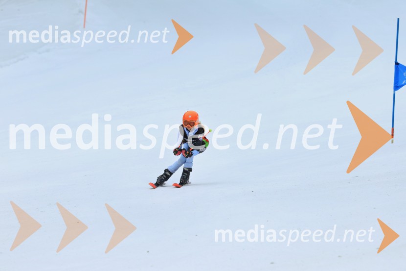 SMUČANJE - SUPER G, U10 in U12, Pokal vzhodne regije, Rogla