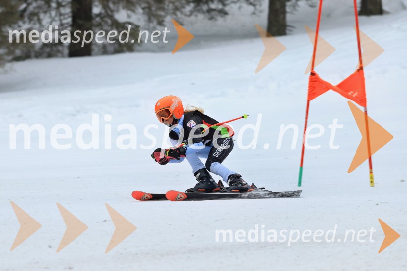 SMUČANJE - SUPER G, U10 in U12, Pokal vzhodne regije, Rogla