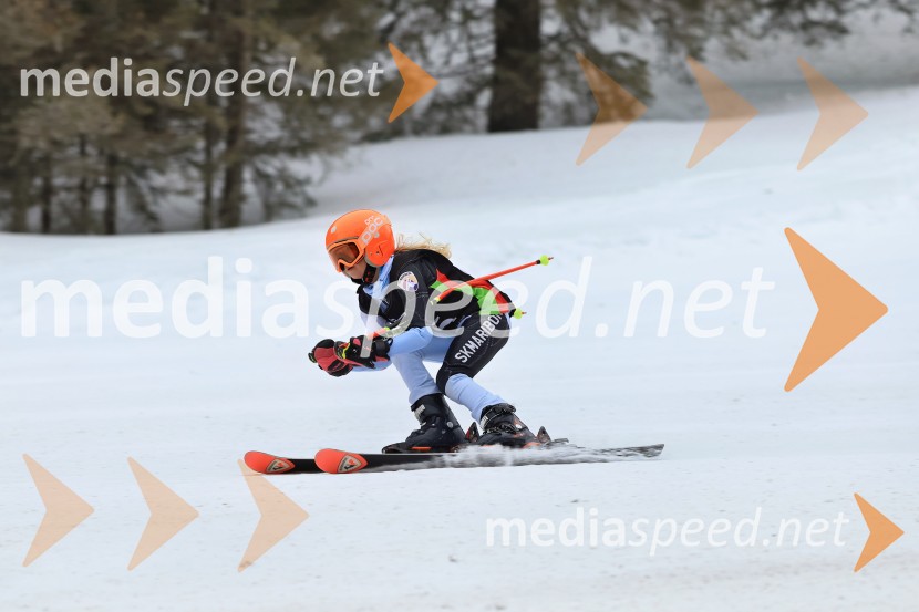 SMUČANJE - SUPER G, U10 in U12, Pokal vzhodne regije, Rogla