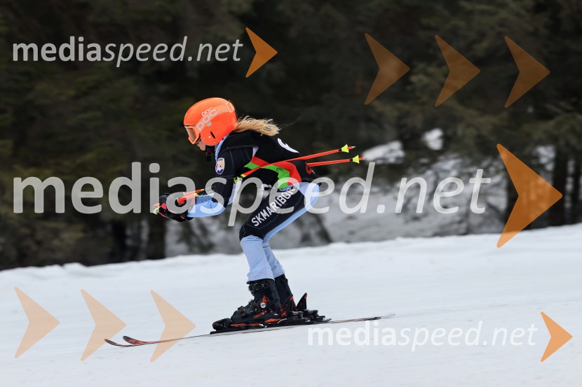 SMUČANJE - SUPER G, U10 in U12, Pokal vzhodne regije, Rogla