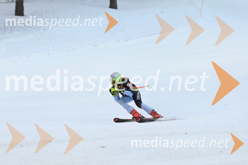 SMUČANJE - SUPER G, U10 in U12, Pokal vzhodne regije, Rogla