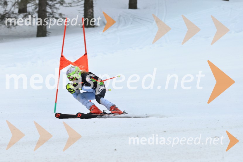 SMUČANJE - SUPER G, U10 in U12, Pokal vzhodne regije, Rogla