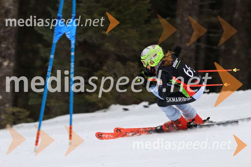 SMUČANJE - SUPER G, U10 in U12, Pokal vzhodne regije, Rogla