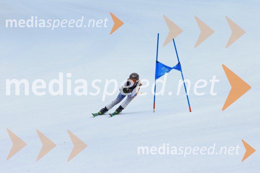 SMUČANJE - SUPER G, U10 in U12, Pokal vzhodne regije, Rogla