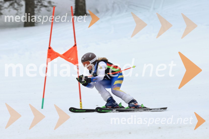 SMUČANJE - SUPER G, U10 in U12, Pokal vzhodne regije, Rogla