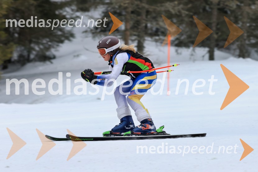 SMUČANJE - SUPER G, U10 in U12, Pokal vzhodne regije, Rogla