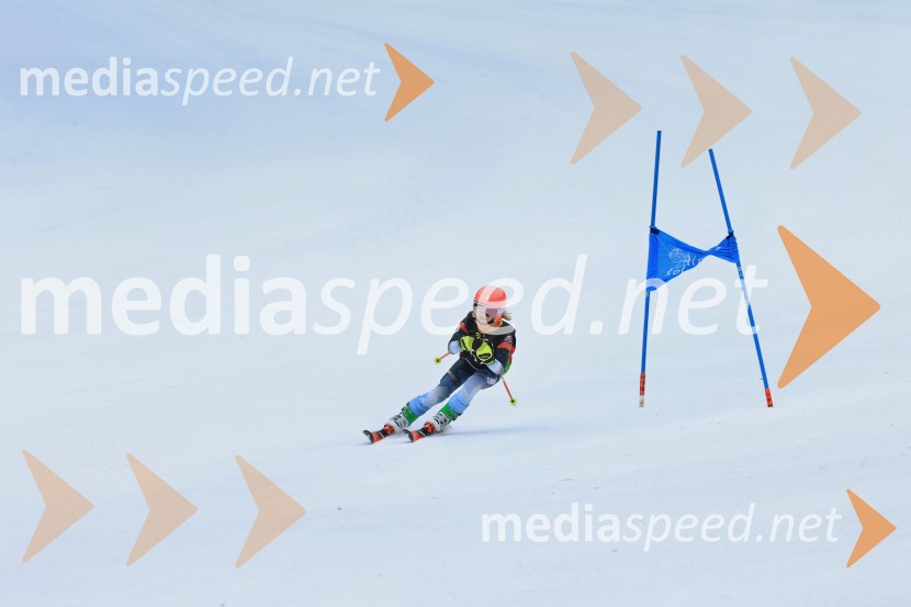 SMUČANJE - SUPER G, U10 in U12, Pokal vzhodne regije, Rogla