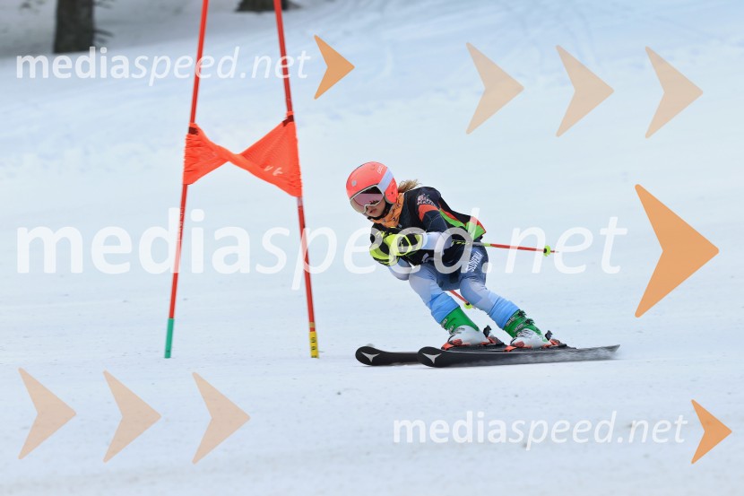 SMUČANJE - SUPER G, U10 in U12, Pokal vzhodne regije, Rogla