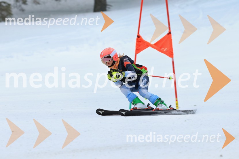 SMUČANJE - SUPER G, U10 in U12, Pokal vzhodne regije, Rogla
