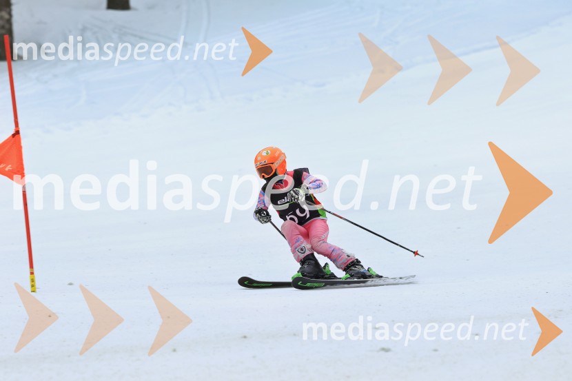 SMUČANJE - SUPER G, U10 in U12, Pokal vzhodne regije, Rogla