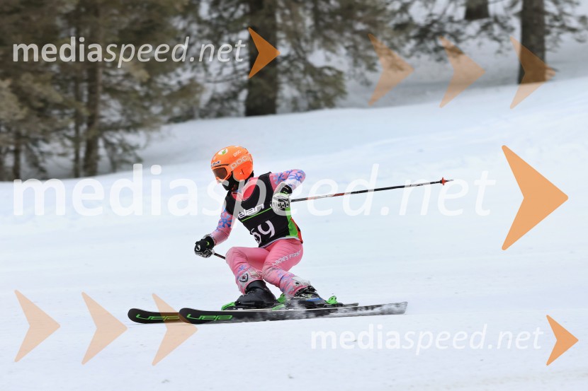 SMUČANJE - SUPER G, U10 in U12, Pokal vzhodne regije, Rogla