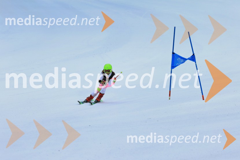 SMUČANJE - SUPER G, U10 in U12, Pokal vzhodne regije, Rogla